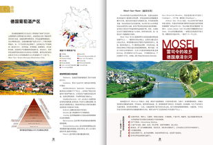 《葡萄醇韵》 葡萄酒期刊的优雅设计